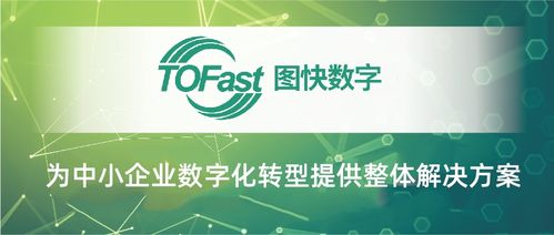 臨安數字化服務商 以數字內容制作服務獲評市級優秀背后的創新實踐